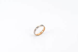 車窗外的流星雨(一對)